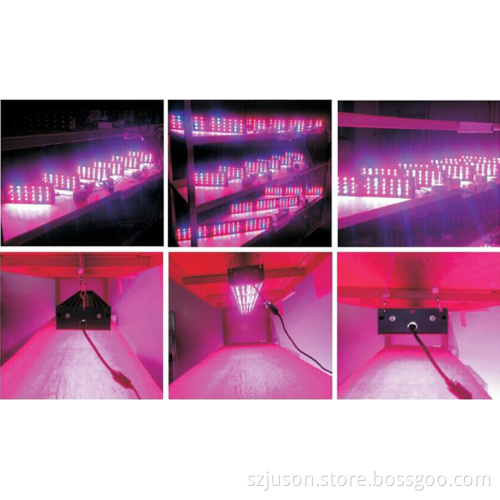 96W Hydroponic LED Grow Lights AC85-265V For Home Indoor Garden